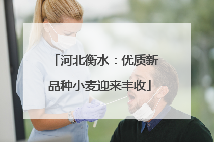 河北衡水：优质新品种小麦迎来丰收