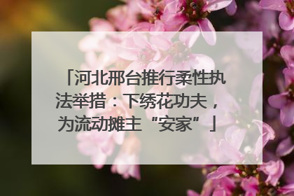 河北邢台推行柔性执法举措：下绣花功夫，为流动摊主“安家”