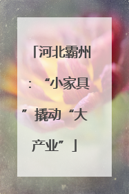 河北霸州：“小家具”撬动“大产业”