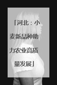 河北：小麦新品种助力农业高质量发展