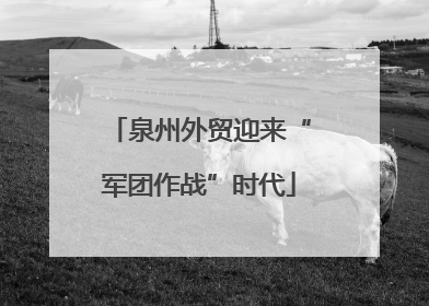 泉州外贸迎来“军团作战”时代