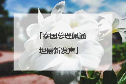 泰国总理佩通坦最新发声