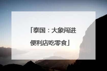 泰国：大象闯进便利店吃零食