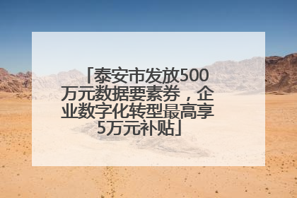泰安市发放500万元数据要素券，企业数字化转型最高享5万元补贴