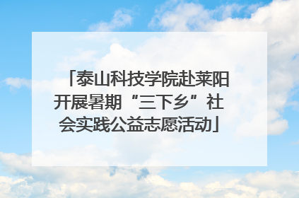 泰山科技学院赴莱阳开展暑期“三下乡”社会实践公益志愿活动