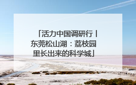 活力中国调研行丨东莞松山湖：荔枝园里长出来的科学城