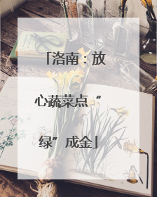 洛南：放心蔬菜点“绿”成金