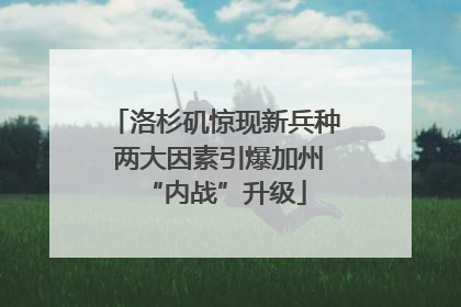 洛杉矶惊现新兵种 两大因素引爆加州“内战”升级