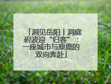洞见岳阳丨洞庭碧波迎“归客”：一座城市与麋鹿的双向奔赴