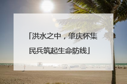 洪水之中，肇庆怀集民兵筑起生命防线