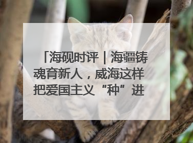 海砚时评｜海疆铸魂育新人，威海这样把爱国主义“种”进年轻人心里