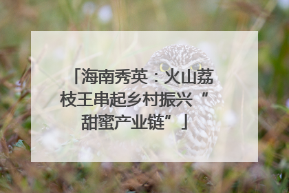 海南秀英：火山荔枝王串起乡村振兴“甜蜜产业链”