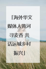 海外华文媒体人黄河寻麦香 共话运城乡村振兴