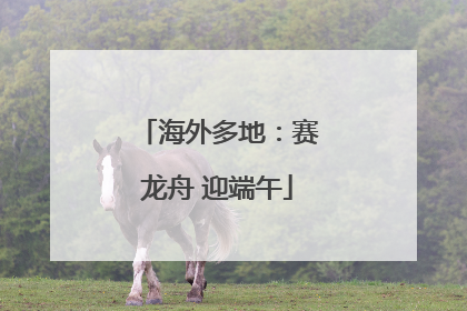 海外多地：赛龙舟 迎端午