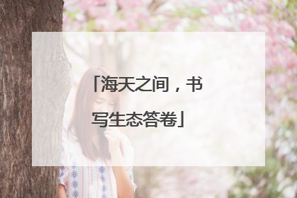 海天之间，书写生态答卷