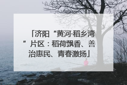 济阳“黄河·稻乡湾”片区：稻荷飘香、善治惠民、青春激扬