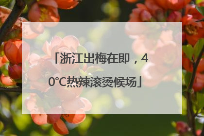 浙江出梅在即，40℃热辣滚烫候场