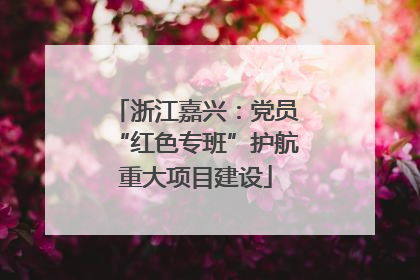 浙江嘉兴：党员“红色专班”护航重大项目建设