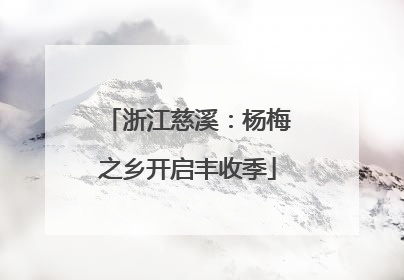 浙江慈溪：杨梅之乡开启丰收季