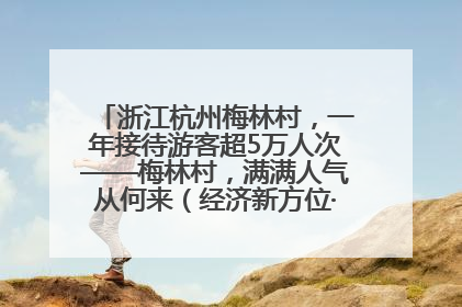 浙江杭州梅林村，一年接待游客超5万人次——梅林村，满满人气从何来（经济新方位·农村消费观察）