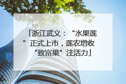 浙江武义：“水果莲”正式上市，莲农增收“致富果”注活力