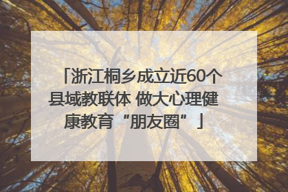 浙江桐乡成立近60个县域教联体 做大心理健康教育“朋友圈”