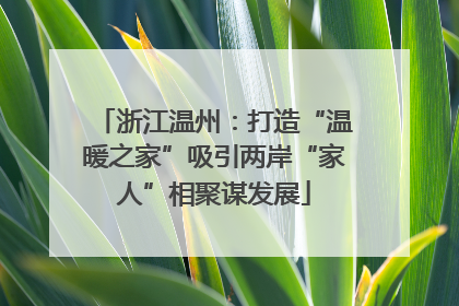 浙江温州：打造“温暖之家”吸引两岸“家人”相聚谋发展