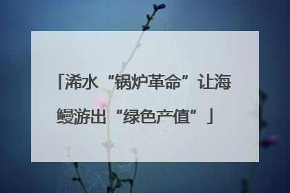 浠水“锅炉革命”让海鳗游出“绿色产值”