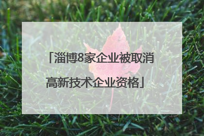 淄博8家企业被取消高新技术企业资格