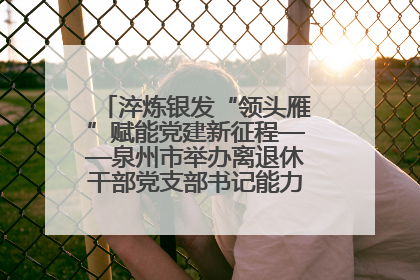 淬炼银发“领头雁”赋能党建新征程——泉州市举办离退休干部党支部书记能力建设专题培训