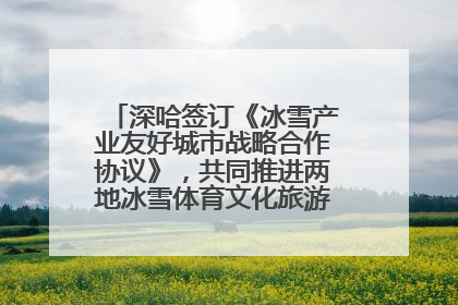 深哈签订《冰雪产业友好城市战略合作协议》，共同推进两地冰雪体育文化旅游高质量发展