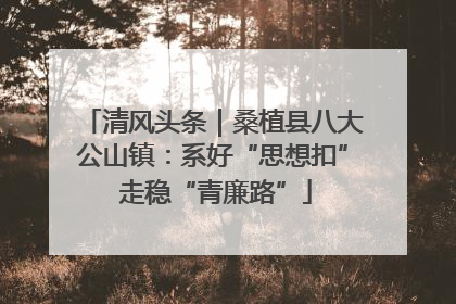 清风头条｜桑植县八大公山镇：系好“思想扣” 走稳“青廉路”