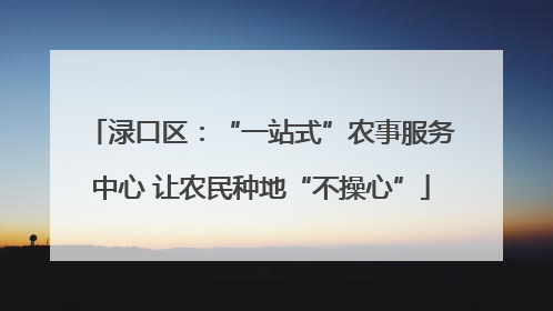 渌口区：“一站式”农事服务中心 让农民种地“不操心”