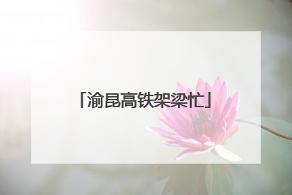 渝昆高铁架梁忙