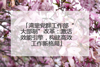 湾里党群工作部“大部制”改革：激活效能引擎，构建高效工作新格局