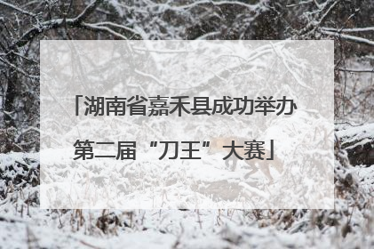 湖南省嘉禾县成功举办第二届“刀王”大赛