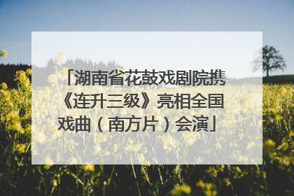 湖南省花鼓戏剧院携《连升三级》亮相全国戏曲（南方片）会演