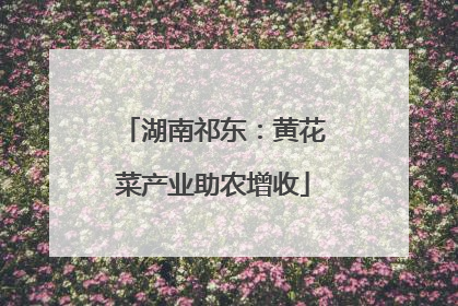 湖南祁东：黄花菜产业助农增收
