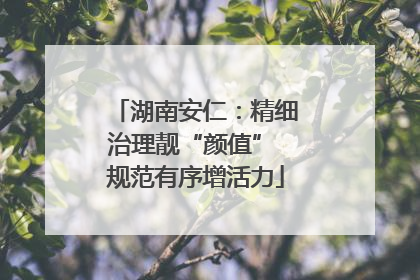 湖南安仁：精细治理靓“颜值” 规范有序增活力