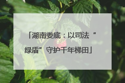 湖南娄底：以司法“绿盾”守护千年梯田