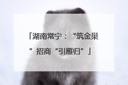 湖南常宁：“筑金巢”招商“引雁归”