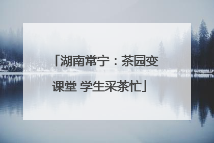 湖南常宁：茶园变课堂 学生采茶忙