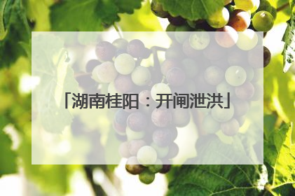 湖南桂阳：开闸泄洪