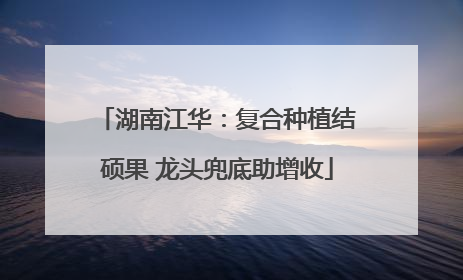 湖南江华：复合种植结硕果 龙头兜底助增收