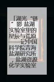 湖光“链”影 盐湖实验室里的星辰与荒原——记中国科学院青海盐湖研究所，盐湖资源化学实验室党总支书记、副主任刘忠