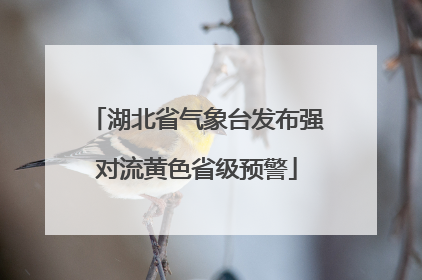 湖北省气象台发布强对流黄色省级预警