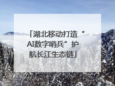 湖北移动打造“AI数字哨兵”护航长江生态链