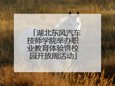 湖北东风汽车技师学院举办职业教育体验暨校园开放周活动