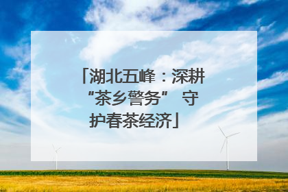 湖北五峰：深耕“茶乡警务” 守护春茶经济