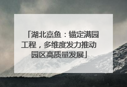 湖北嘉鱼：锚定满园工程，多维度发力推动园区高质量发展